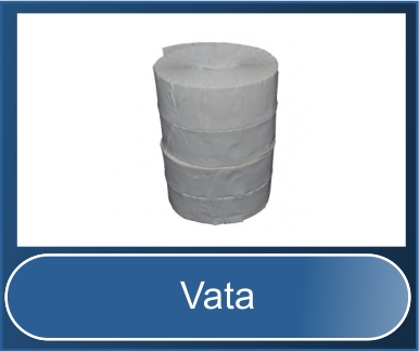 Vata